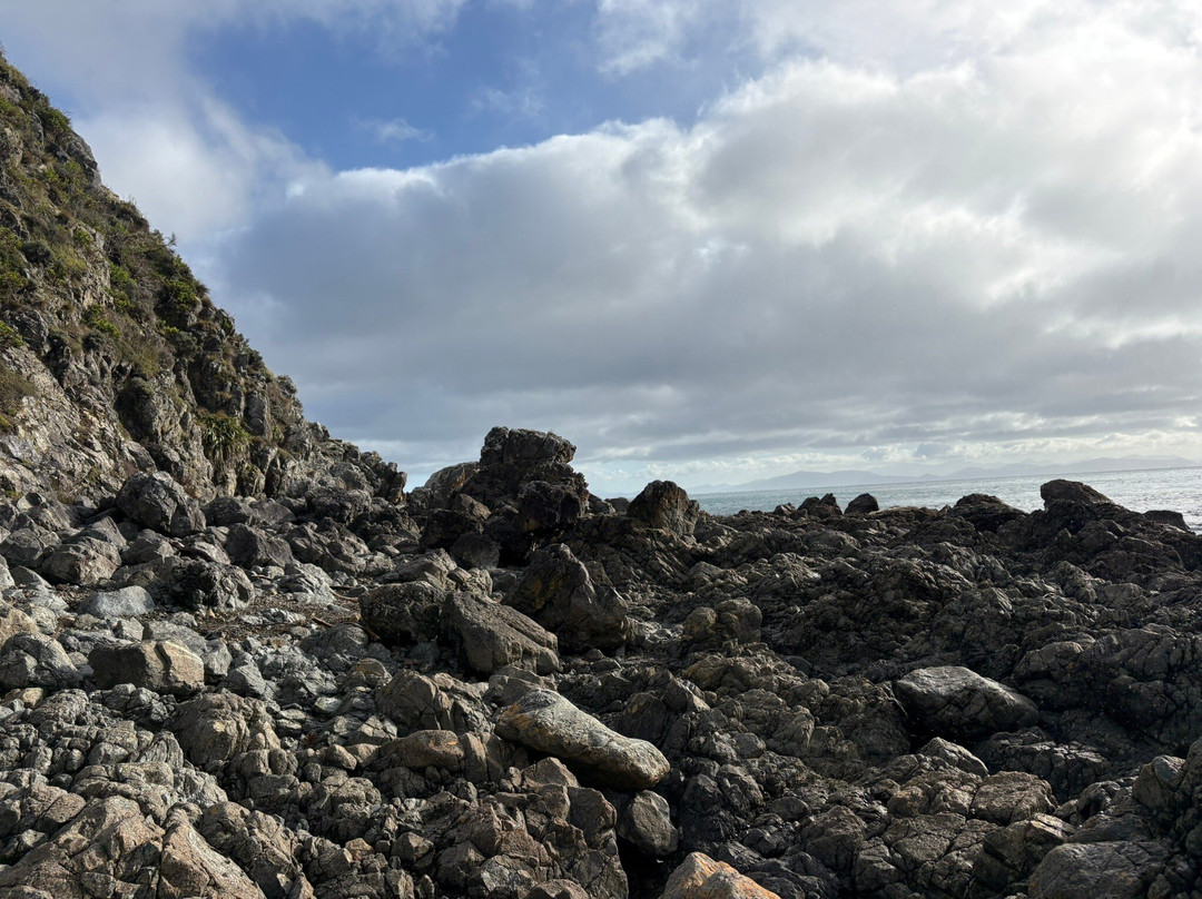 Makara Beach-惠灵顿必去景点