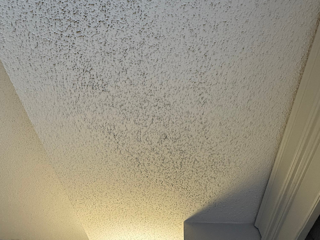 Courtyard by Marriott Norfolk Downtown主图