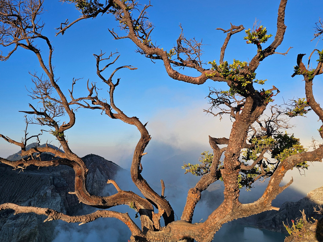 Ijen Miner Tours-巴纽旺宣必去景点