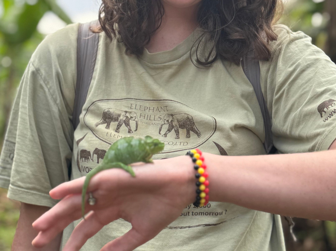 Massif Montane Expedition, Mt Elgon-Sipi必去景点