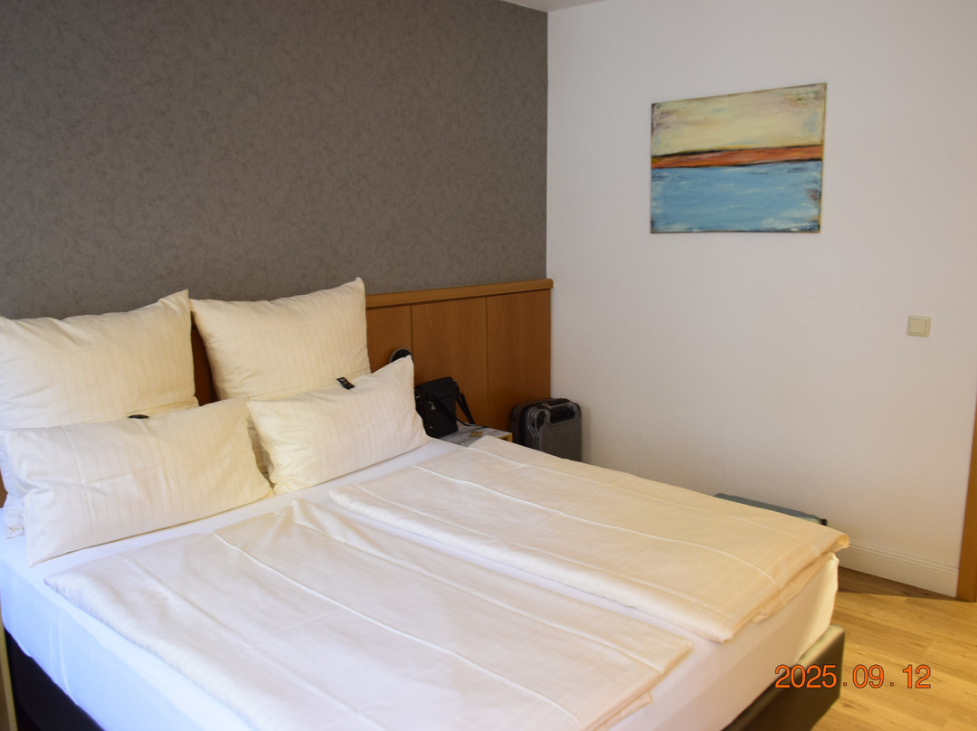 Hotel Salischer Hof主图