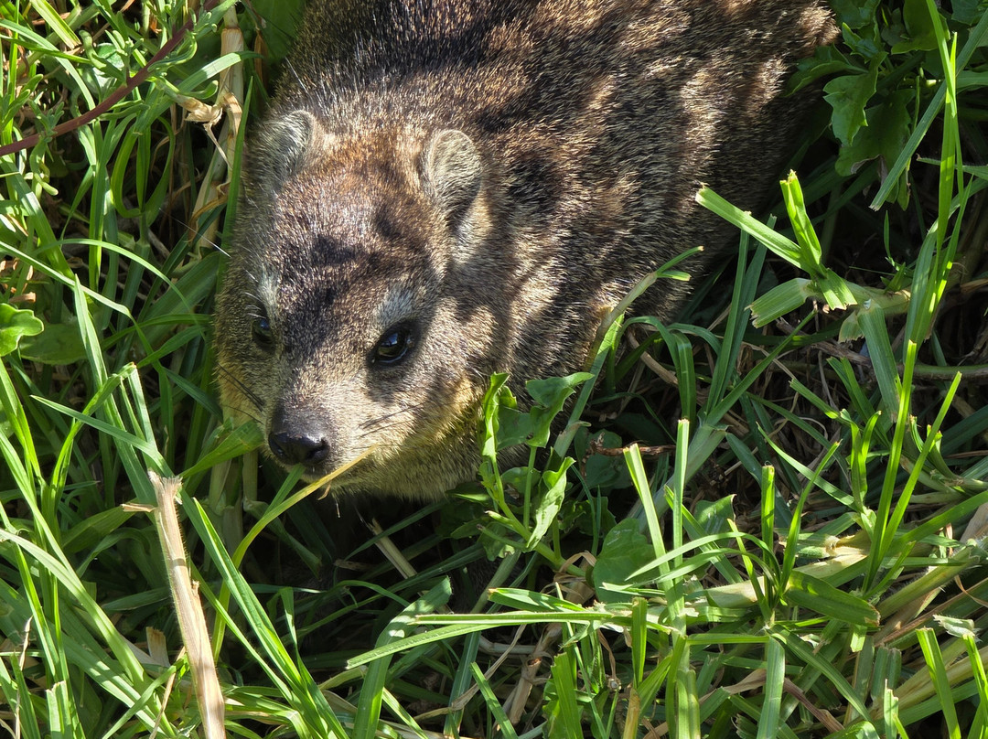 Cape Adventure Zone-开普敦中心区必去景点