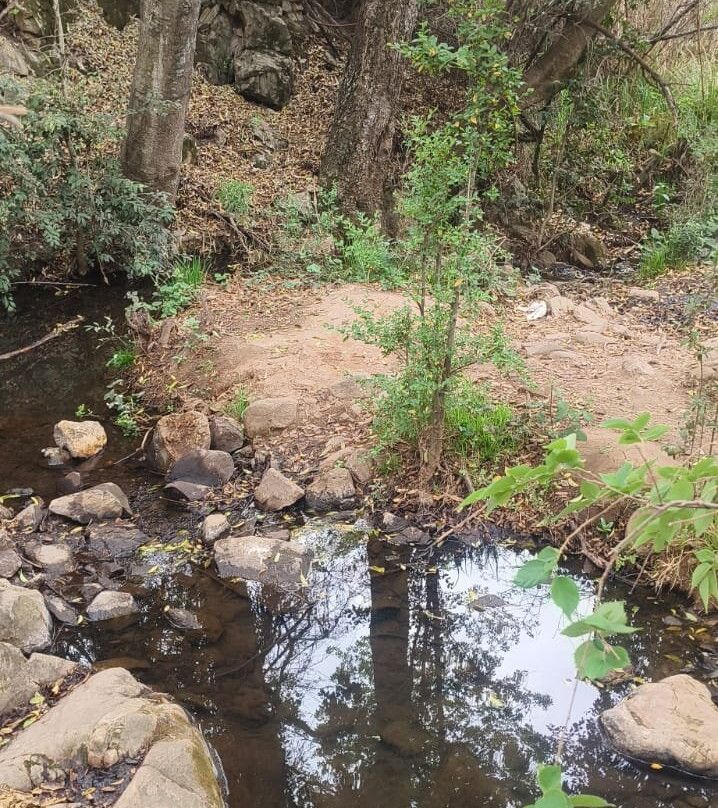 Cradle Moon-Muldersdrift必去景点