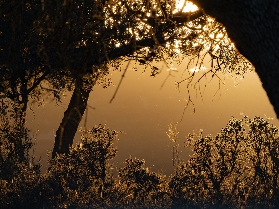 Ecoturismo Monfragüe-卡塞雷斯必去景点