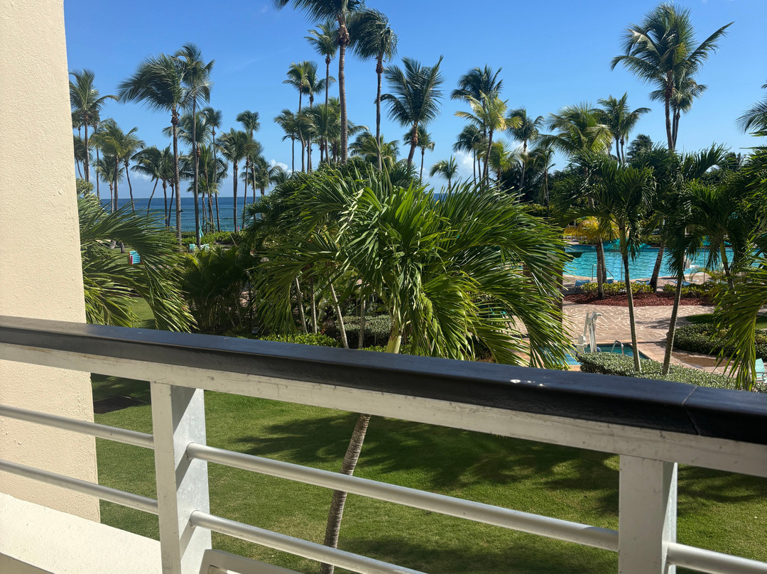 哈西恩德戴尔马尔凯悦酒店主图