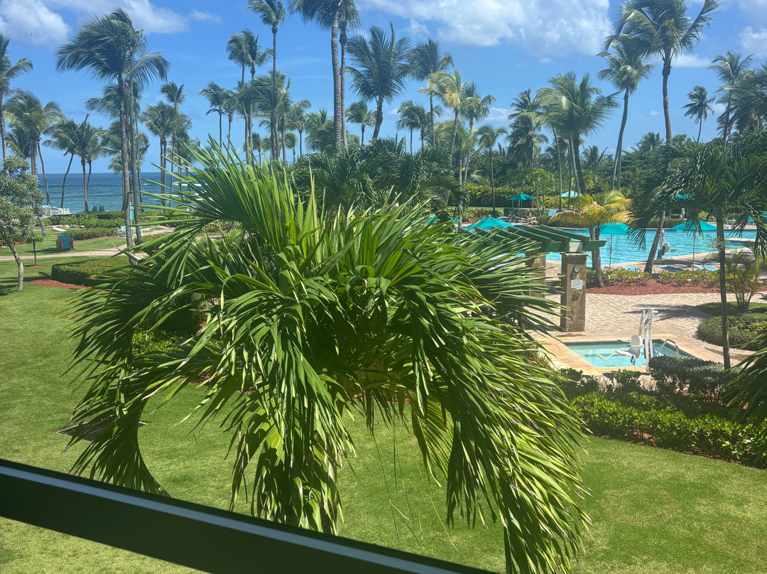 哈西恩德戴尔马尔凯悦酒店主图