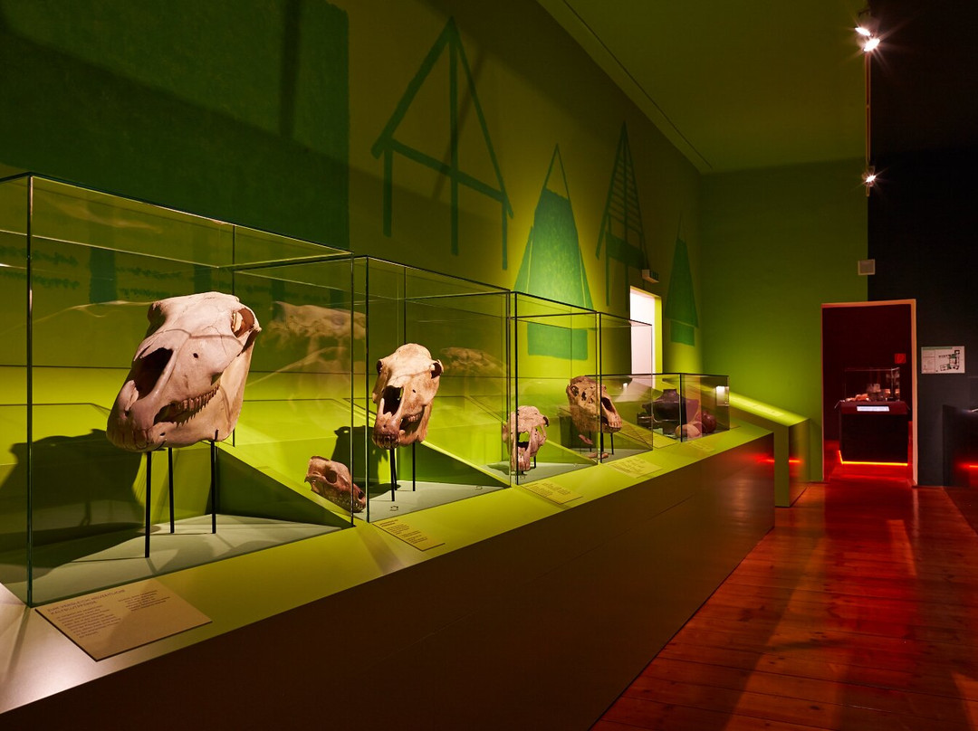 MAMUZ Schloss Asparn/Zaya-Asparn an der Zaya必去景点