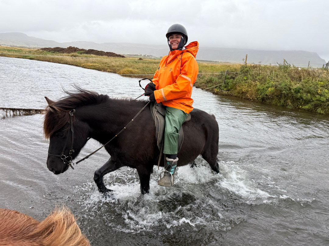 Eldhestar Volcano Horses-Olfus必去景点