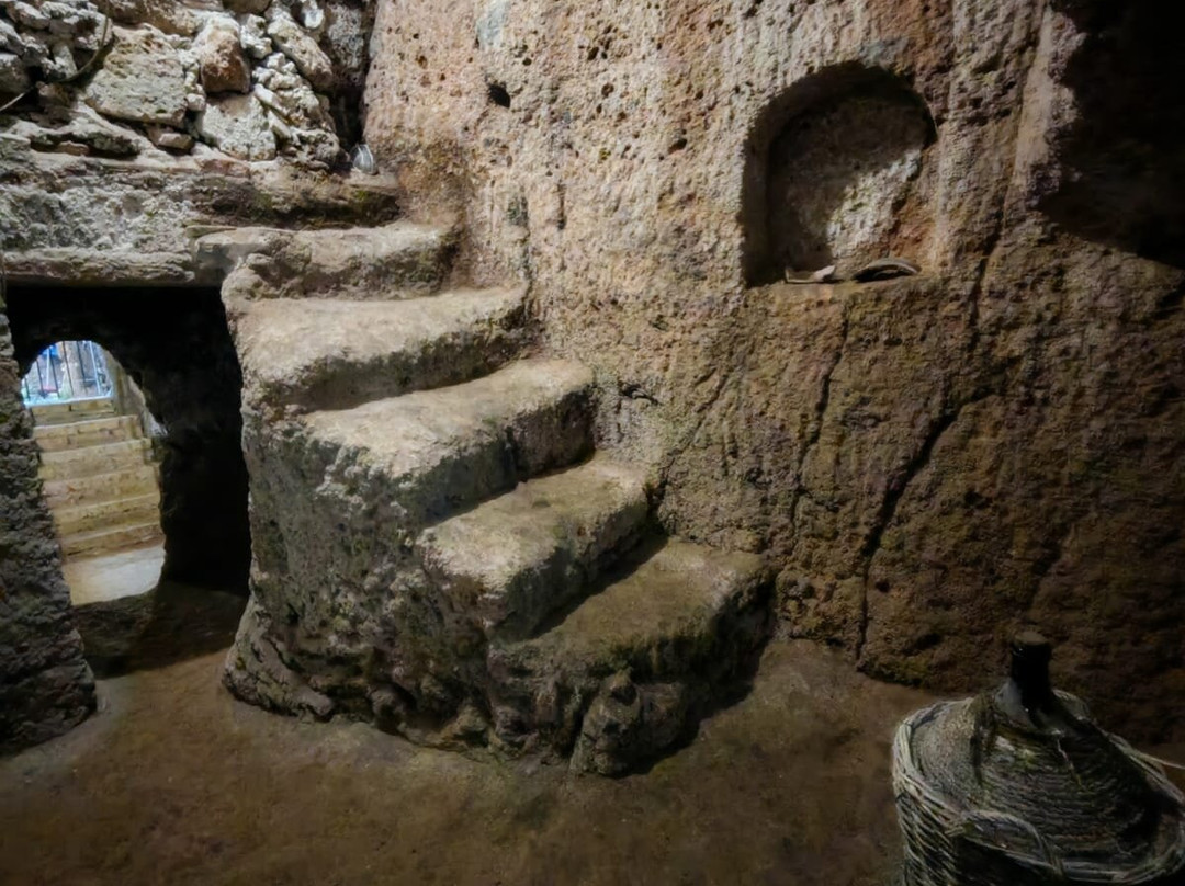 Orta & Oltre Guided Tours-奥尔塔圣朱利奥必去景点