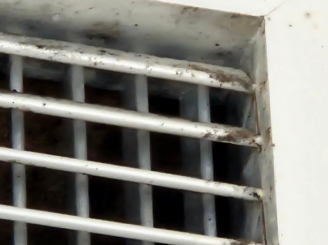 Corallia Beach-Coral Bay必去景点