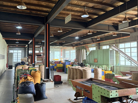 Best Journey-奴娃拉伊利雅必去景点