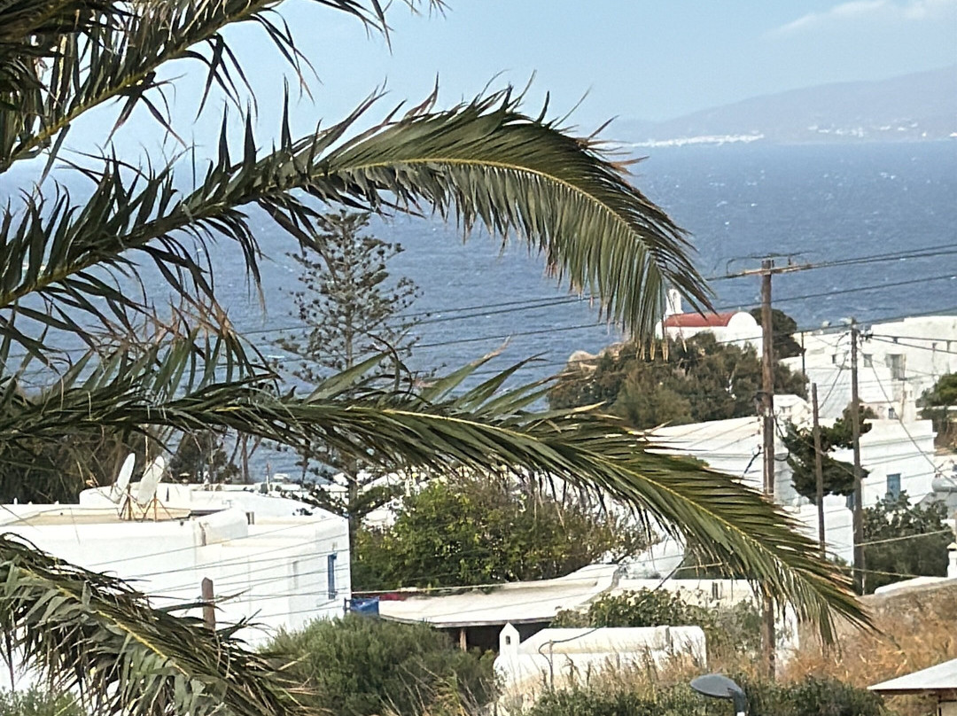 Andronikos Hotel Mykonos主图