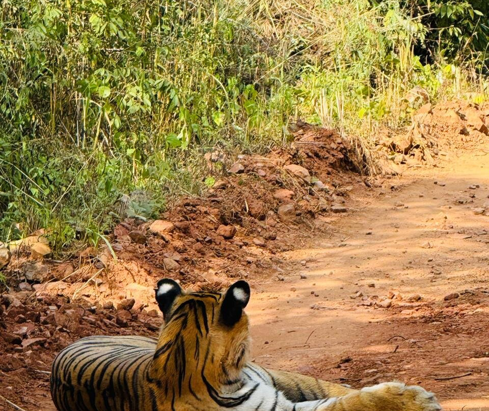 Nature Wanderers-Ramnagar必去景点