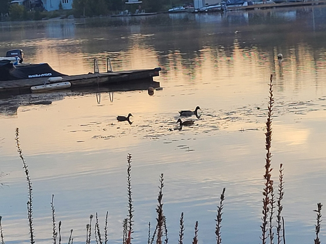 Saucy Willow Inn & Cottages主图