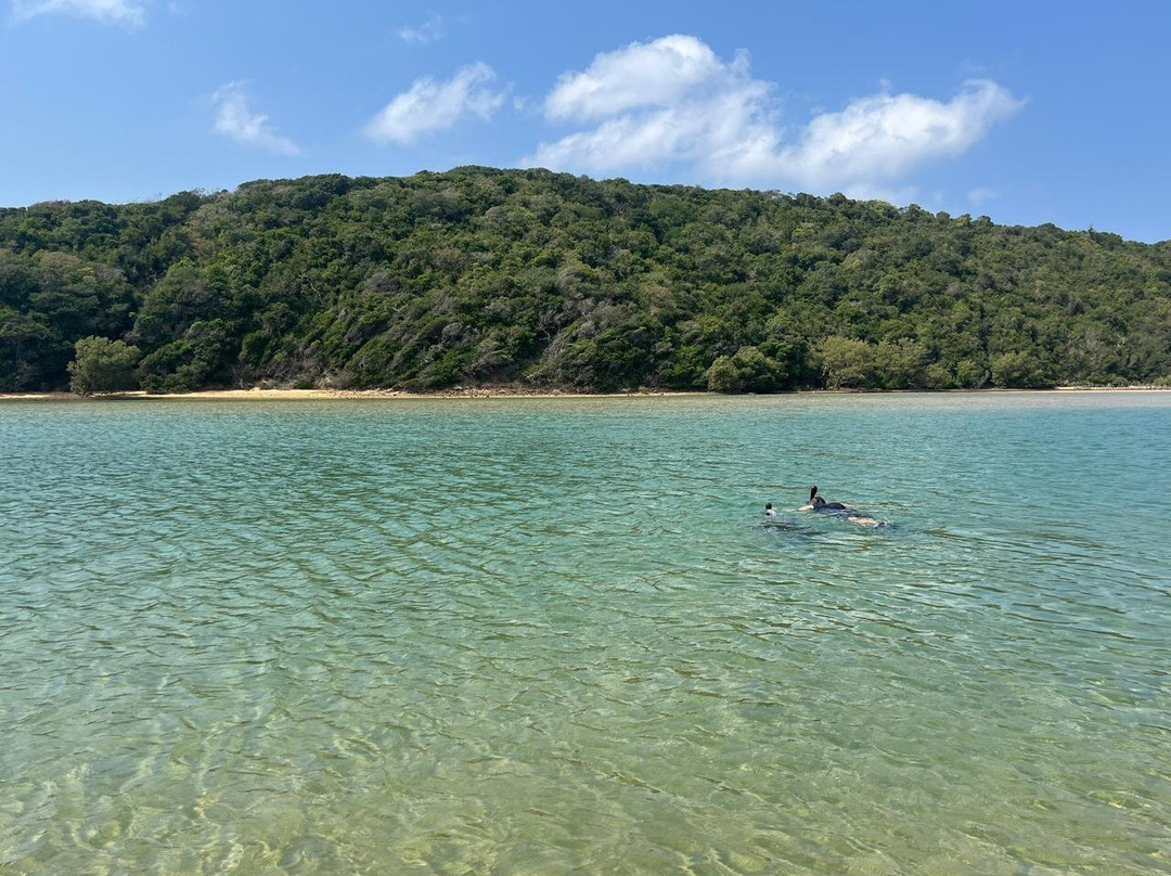 Endless Summer Tours-德班必去景点