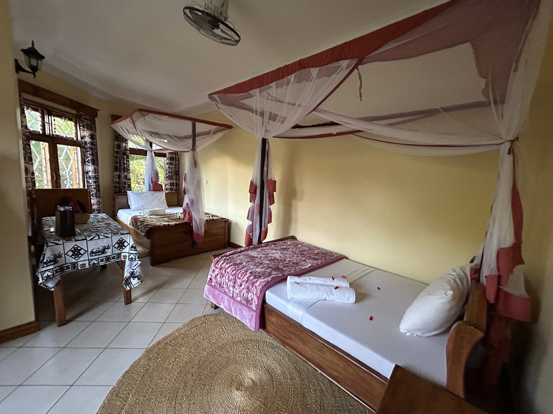 The Green Parrot Campsite & Lodge