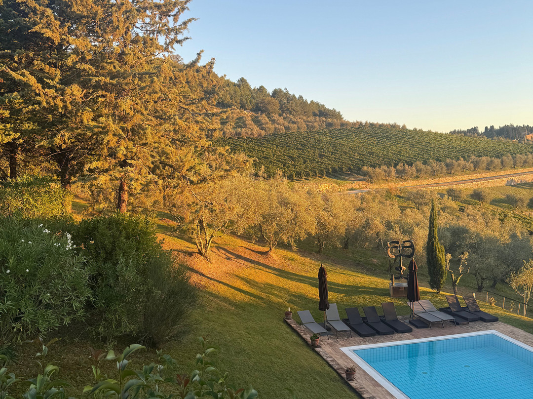 Nittardi-卡斯特利纳－因基安蒂必去景点