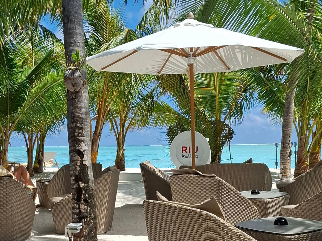 Cappuccino Bar-Gadifuri必去景点