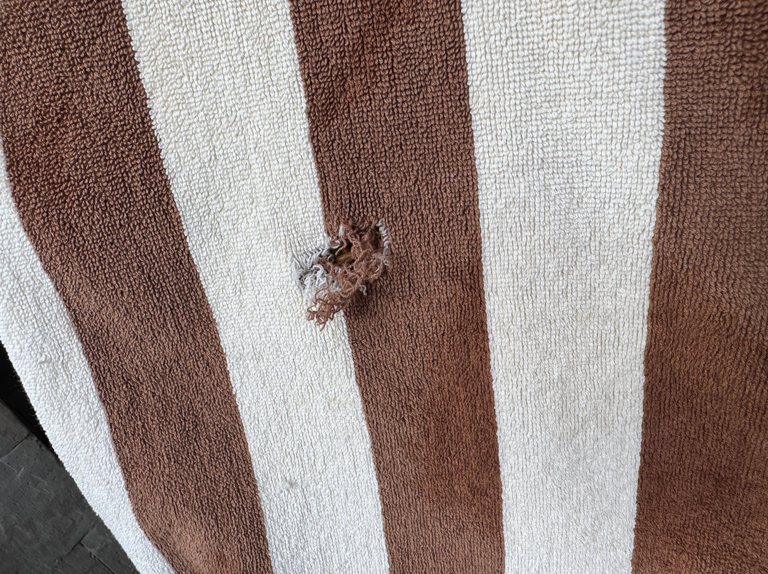 Avalon Ubud Villa主图