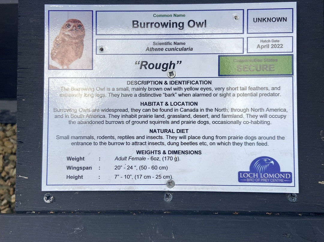 Loch Lomond Bird Of Prey Centre-Balloch必去景点