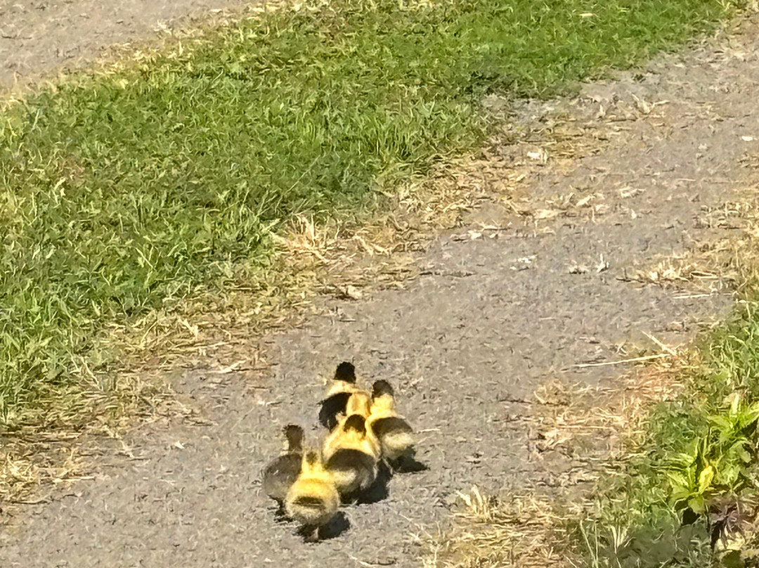 Hale Akua Garden Farm & Eco-Retreat Center主图