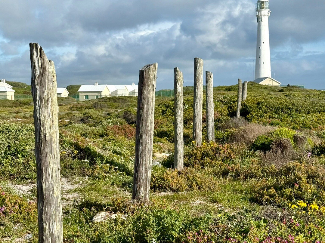 Cape Photographic Company-开普敦中心区必去景点