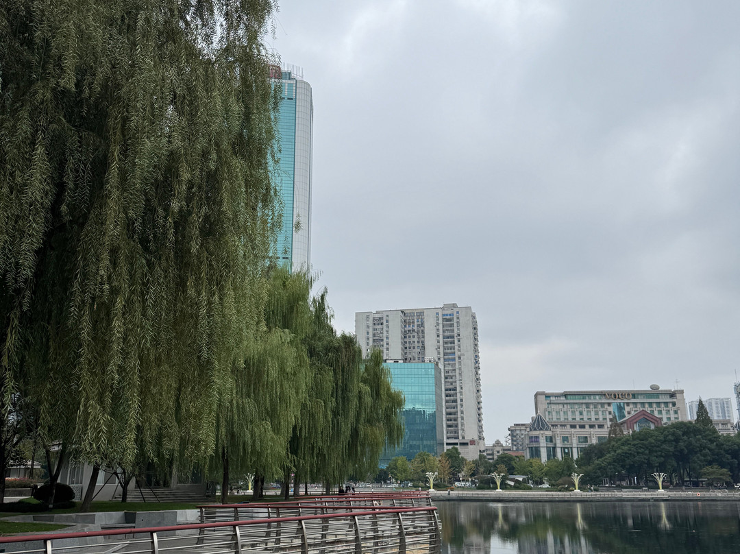 西北湖公园-武汉市必去景点
