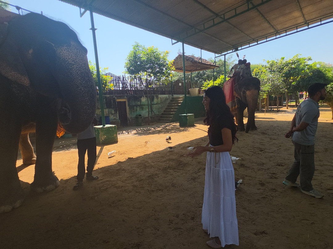 EleJungle-Amer必去景点