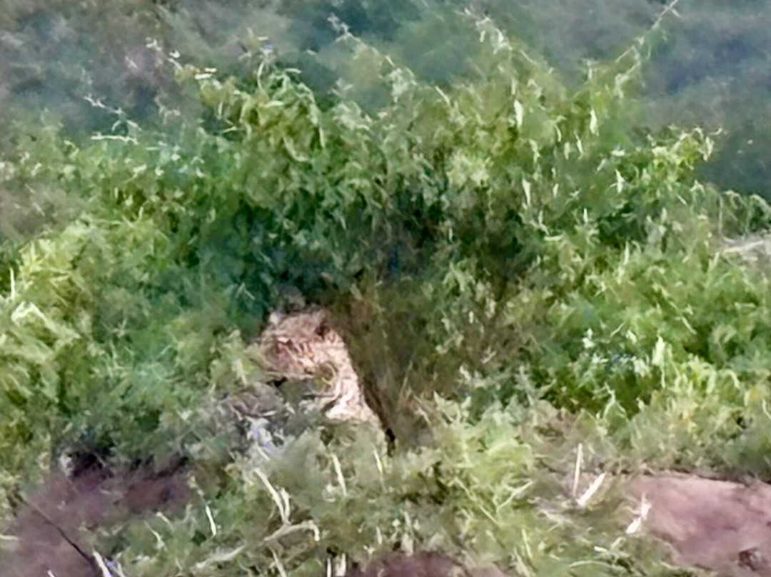 Trek Africa Expeditions-Lyamutundwe必去景点