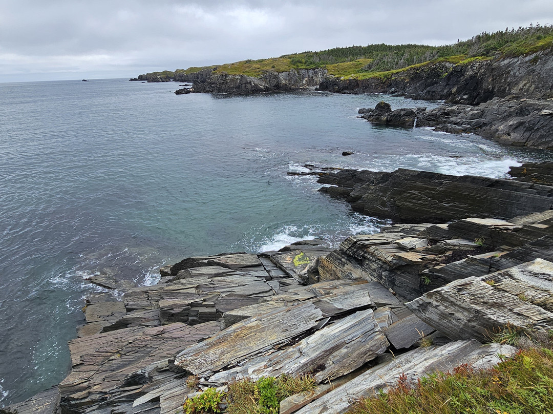 Murphy's Cove Lodge's Pond Trail-Port Union必去景点