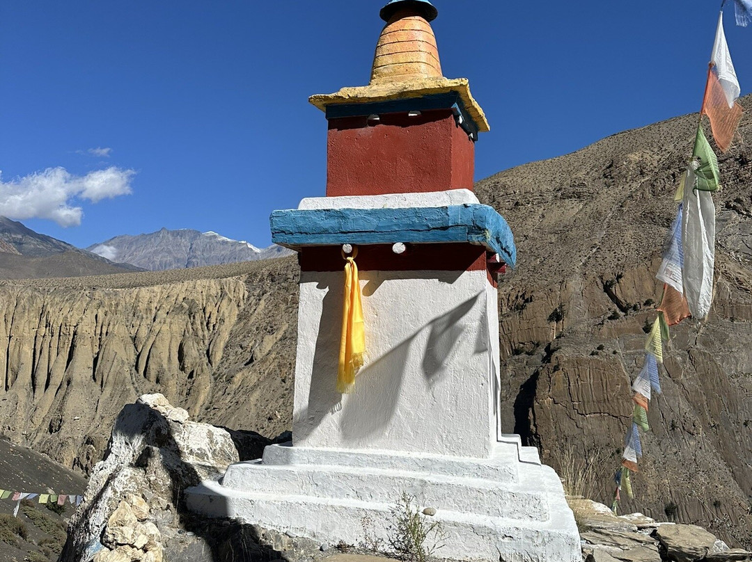 Shinta Mani Mustang主图