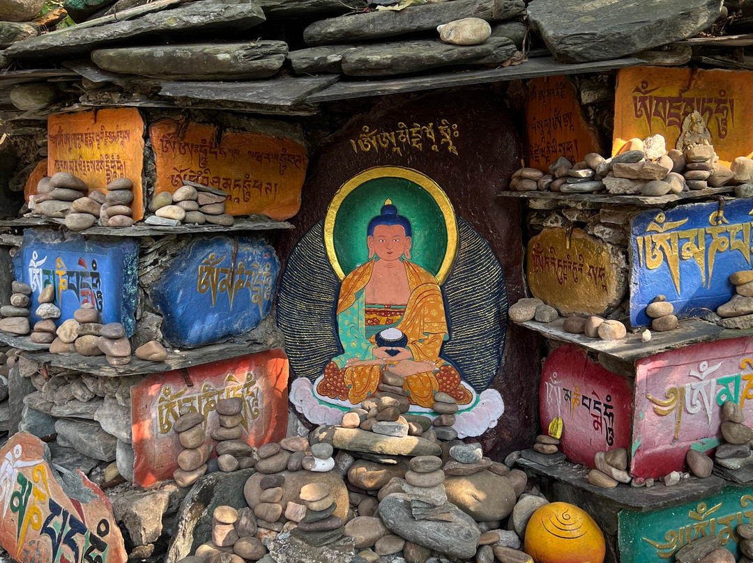 Norbu The Montanna - IHCL SeleQtions主图