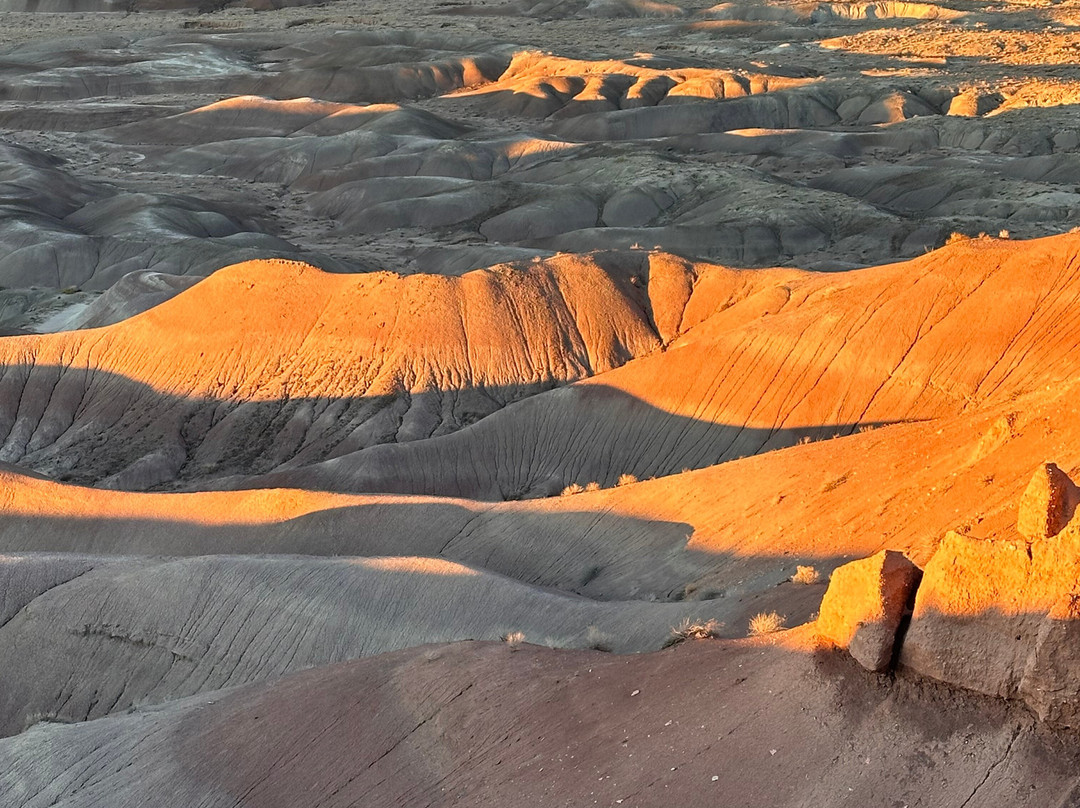 Little Painted Desert Scenic View-温斯洛必去景点