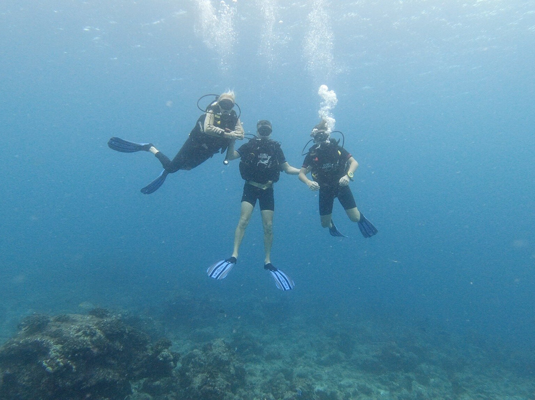 Euro-Divers Club Med Kani-卡尼翡诺岛必去景点