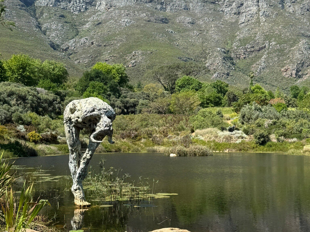 Dylan Lewis Sculpture  Garden-斯泰伦博斯必去景点