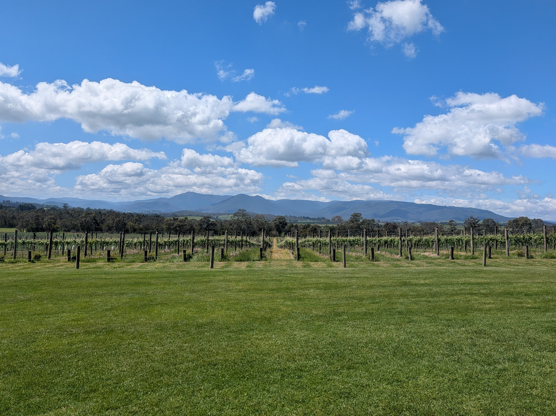The Yarra Valley Touring Company (Melbourne)-墨尔本必去景点