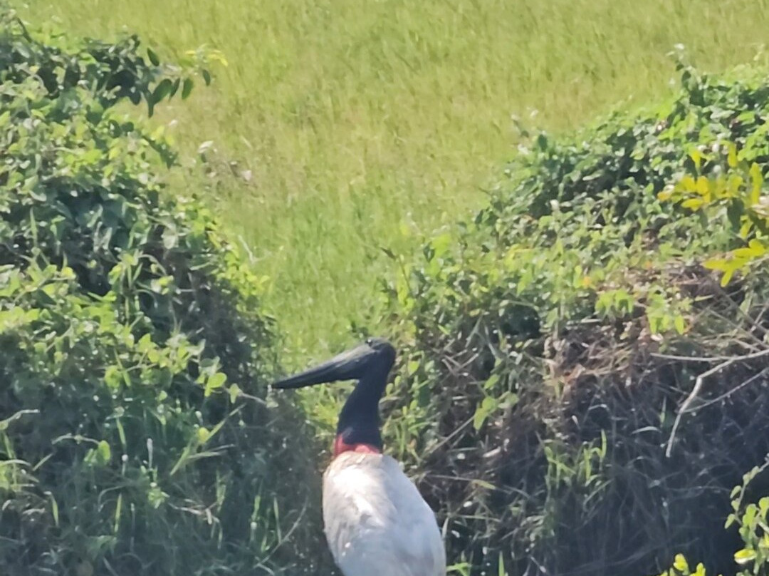 Fazenda San Francisco-米兰达必去景点