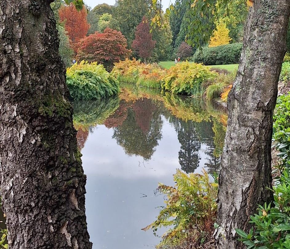 Scotney Castle-皇家滕布里奇韦尔斯必去景点