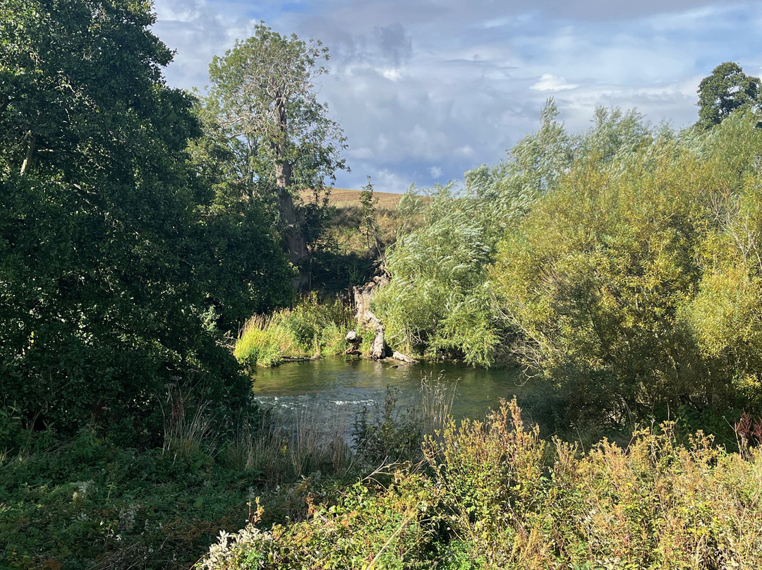 Heatherslaw Light Railway-Cornhill on Tweed必去景点