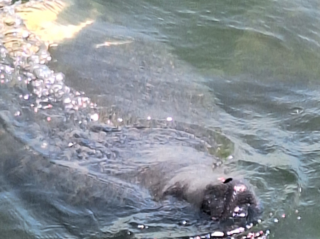 Lucky Chucky Charters-纳瓦拉必去景点