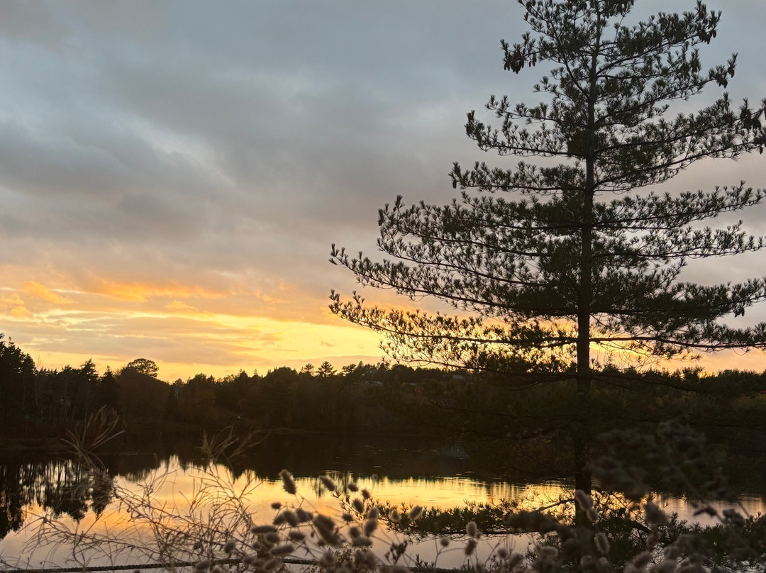 Sensea Nordic Spa-Chester必去景点