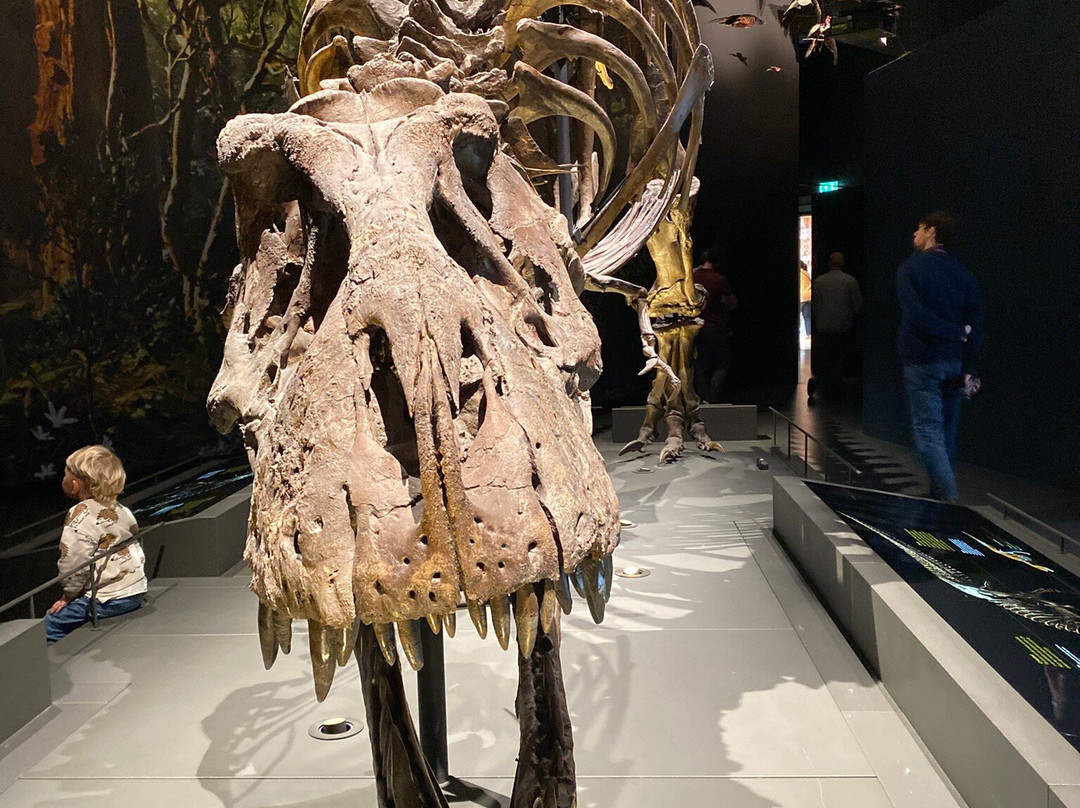 Naturalis Biodiversity Center-莱顿必去景点
