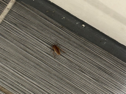 La Quinta Inn by Wyndham Cleveland Independence主图