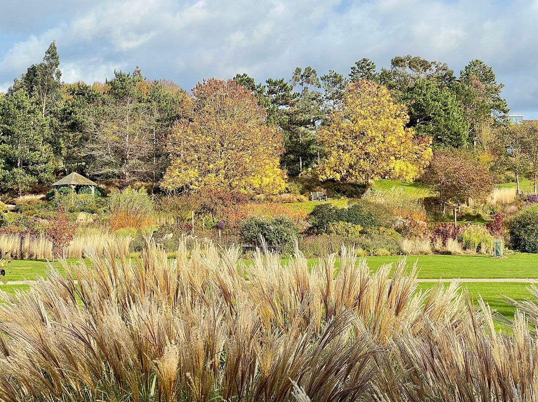 RHS Garden Hyde Hall-切姆斯福德必去景点