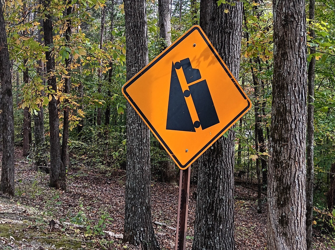 Mousetail Landing State Park-Linden必去景点