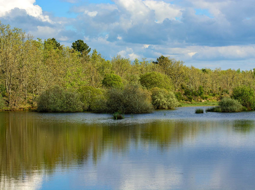 Wildlife Portugal-Guarda必去景点