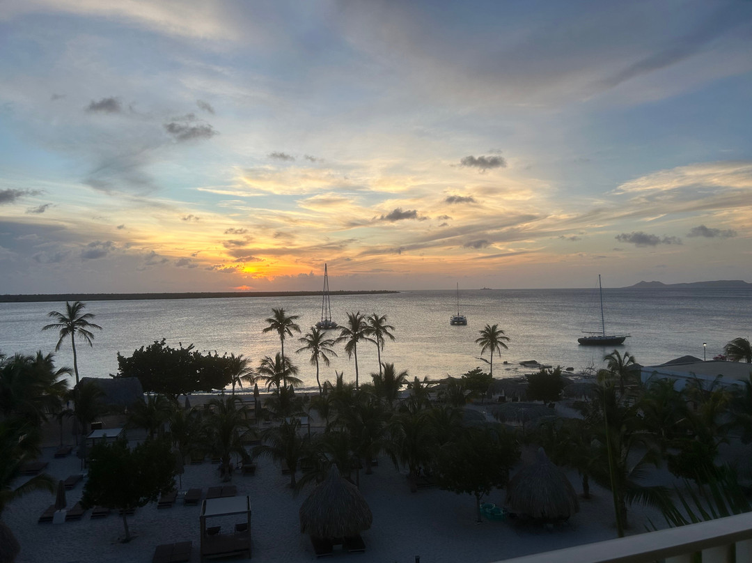 Chogogo Dive & Beach Resort Bonaire主图