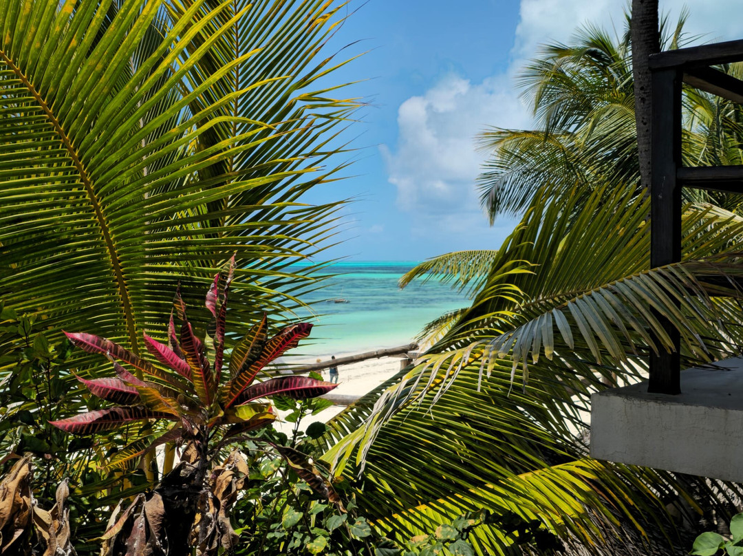 Gigi di Zanzibar-桑给巴尔岛必去景点