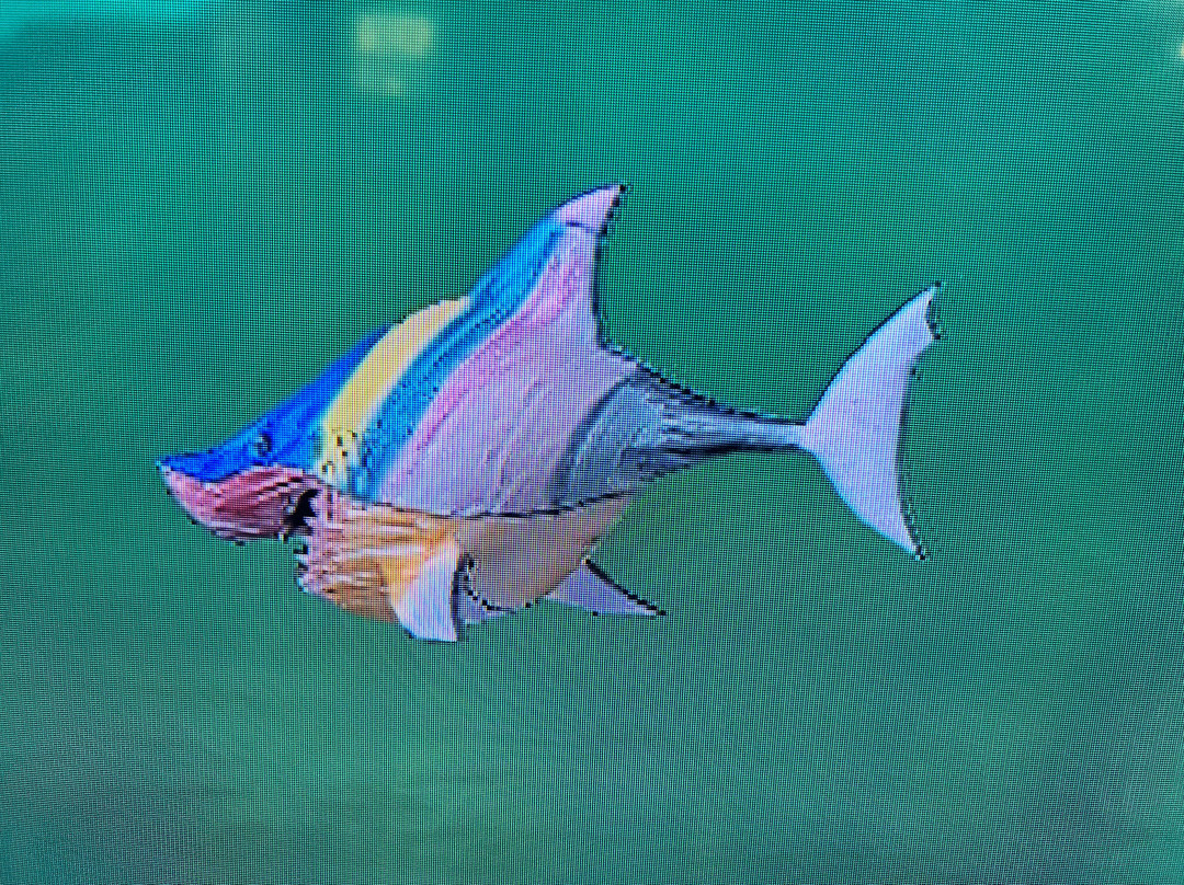 Aquarium Des Tropiques-Allex必去景点