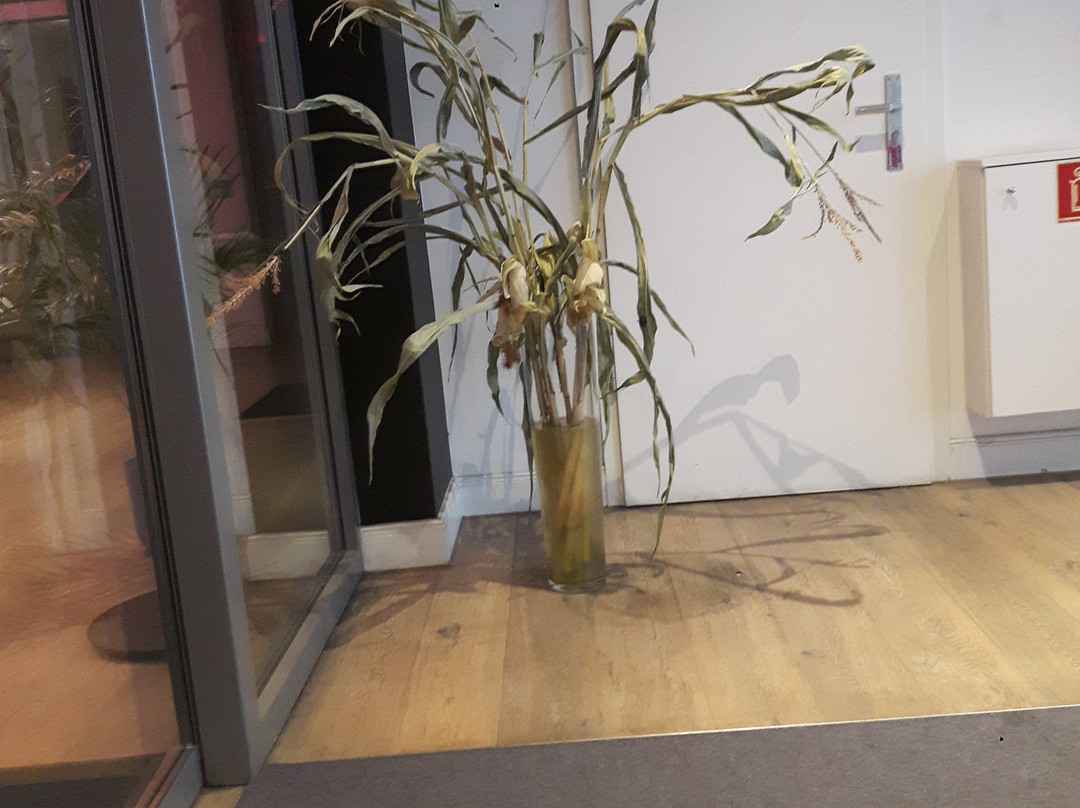 考夫豪斯阿尔特斯酒店主图